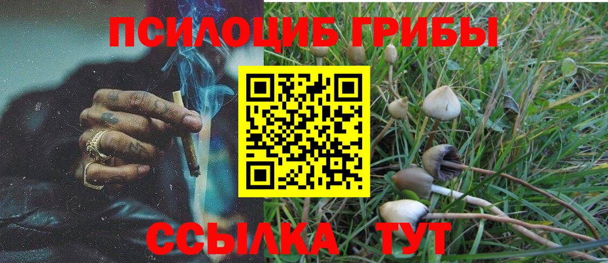 Псилоцибиновые грибы Magic Shrooms  Вход с VPN  Ирбит  Галлюциногенные грибы мицелий 