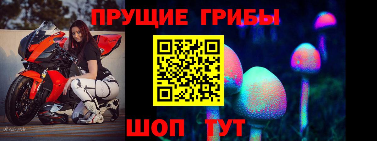 Галлюциногенные грибы Psilocybe Ирбит